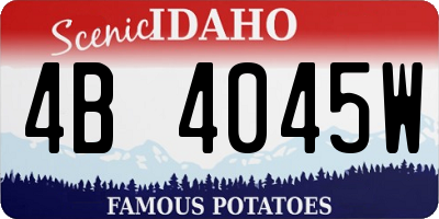 ID license plate 4B4045W