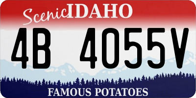 ID license plate 4B4055V