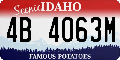 ID license plate 4B4063M