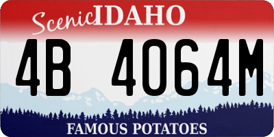 ID license plate 4B4064M