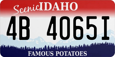 ID license plate 4B4065I