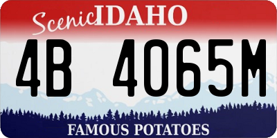 ID license plate 4B4065M
