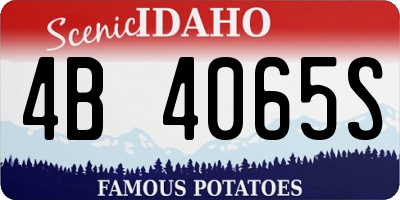 ID license plate 4B4065S