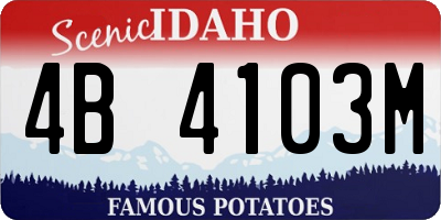 ID license plate 4B4103M