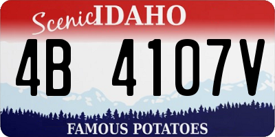 ID license plate 4B4107V