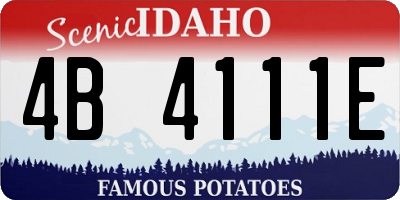 ID license plate 4B4111E