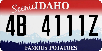 ID license plate 4B4111Z