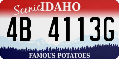 ID license plate 4B4113G