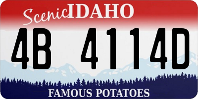 ID license plate 4B4114D