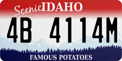 ID license plate 4B4114M