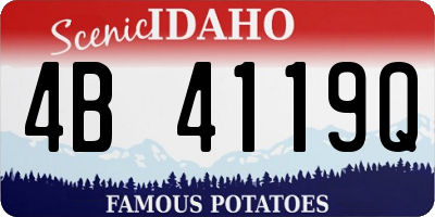 ID license plate 4B4119Q