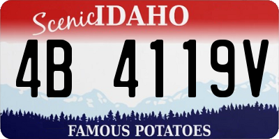 ID license plate 4B4119V