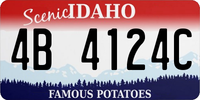 ID license plate 4B4124C