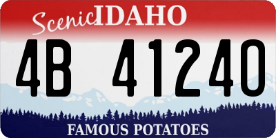 ID license plate 4B4124O