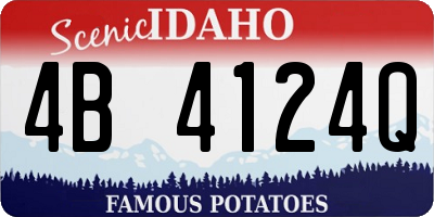 ID license plate 4B4124Q
