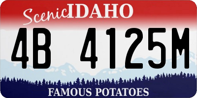 ID license plate 4B4125M