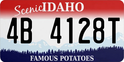 ID license plate 4B4128T