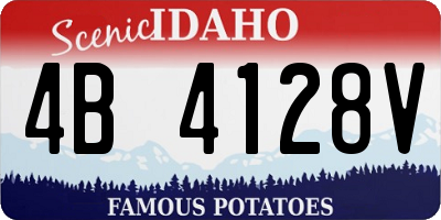 ID license plate 4B4128V