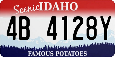 ID license plate 4B4128Y
