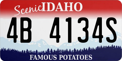 ID license plate 4B4134S