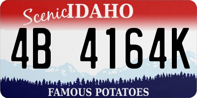 ID license plate 4B4164K