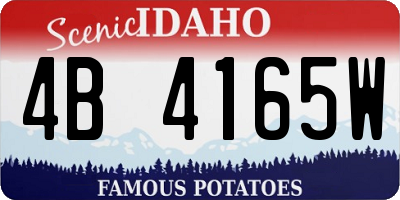 ID license plate 4B4165W