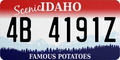 ID license plate 4B4191Z