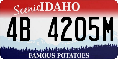 ID license plate 4B4205M