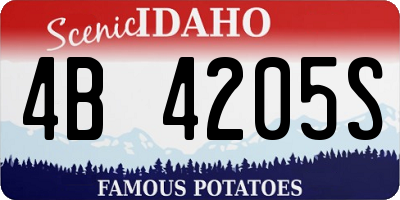 ID license plate 4B4205S