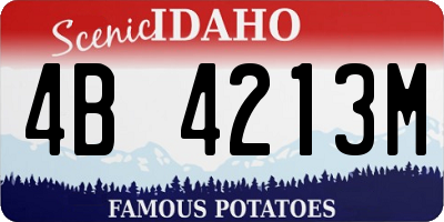ID license plate 4B4213M