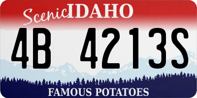 ID license plate 4B4213S