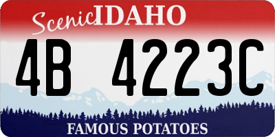 ID license plate 4B4223C