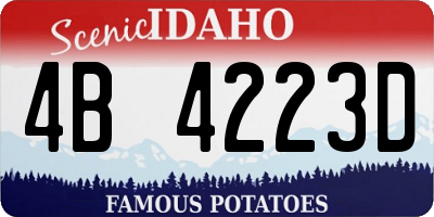 ID license plate 4B4223D