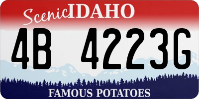 ID license plate 4B4223G