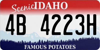 ID license plate 4B4223H