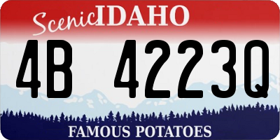ID license plate 4B4223Q