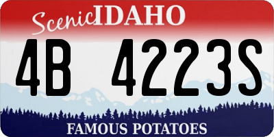 ID license plate 4B4223S