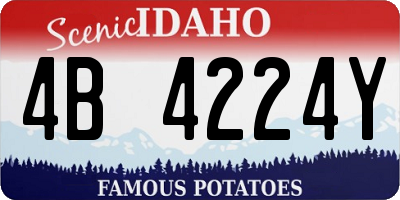 ID license plate 4B4224Y
