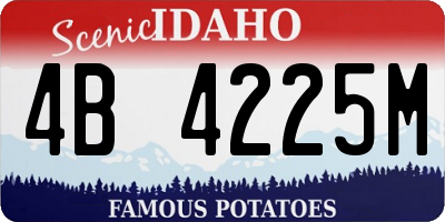 ID license plate 4B4225M
