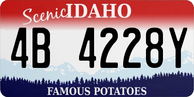 ID license plate 4B4228Y