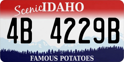 ID license plate 4B4229B
