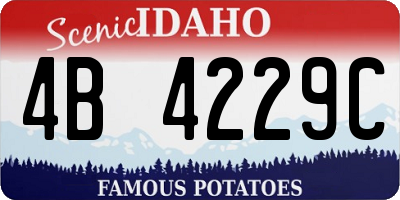 ID license plate 4B4229C