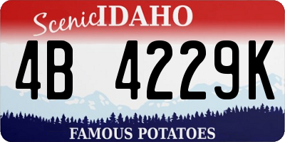 ID license plate 4B4229K