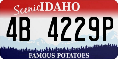 ID license plate 4B4229P