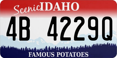 ID license plate 4B4229Q
