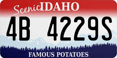 ID license plate 4B4229S
