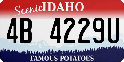 ID license plate 4B4229U
