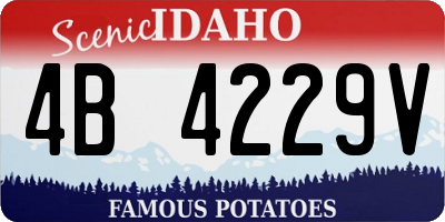 ID license plate 4B4229V
