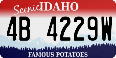 ID license plate 4B4229W