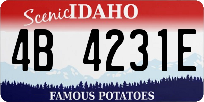 ID license plate 4B4231E